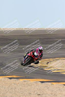 media/Mar-09-2024-SoCal Trackdays (Sat) [[bef1deb9bf]]/1-Bowl Exit (940am)/